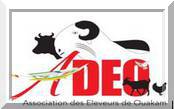 adeo logo